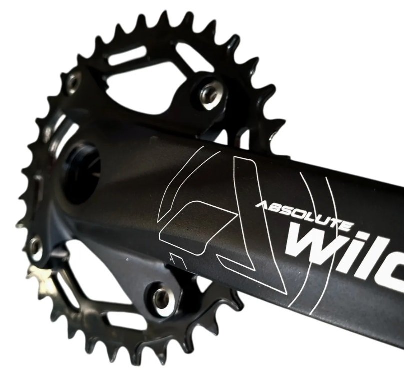 Pedivela Wild 34D 175mm BCD 104mm Narrow Wide padrão Sram s